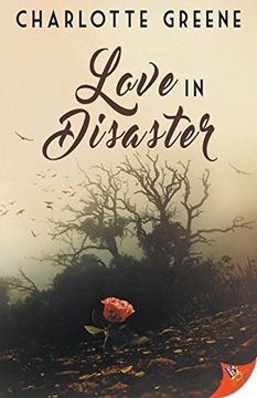 portada Love in Disaster (en Inglés)