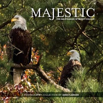 portada Majestic: The Bald Eagles of Berry College (en Inglés)