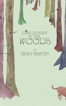 portada Discovery In The Woods: A St. Patrick's Day Surprise (in English)