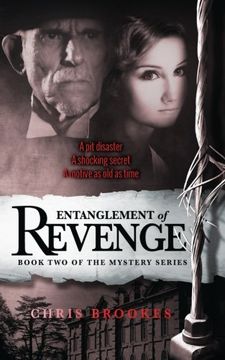 portada Entanglement Of Revenge: Volume 2 (The Entanglement Mysteries)