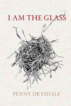 portada I am the Glass (in English)