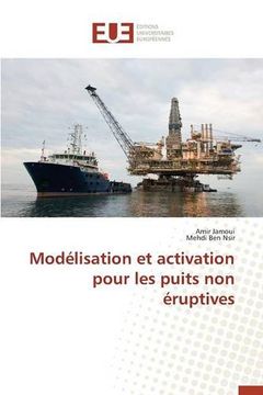 portada Modélisation et activation pour les puits non éruptives