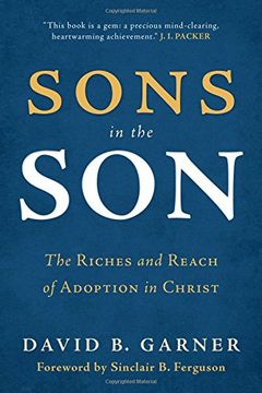 portada Sons in the Son: The Riches and Reach of Adoption in Christ (en Inglés)