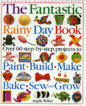 portada Fantastic Rainy day Book (en N)