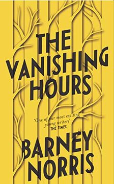 portada The Vanishing Hours (en Inglés)