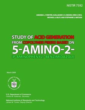 portada Study of Acid Generation from Copolymer Fibers based on 5-amino-2-(p-aminophenyl)-benzimidazole (en Inglés)