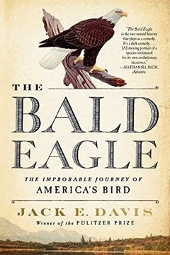 portada The Bald Eagle: The Improbable Journey of America's Bird (in English)