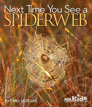 portada Next Time You See a Spiderweb