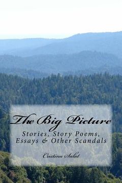 portada The Big Picture: Stories, Story Poems, Essays & Other Scandals (en Inglés)