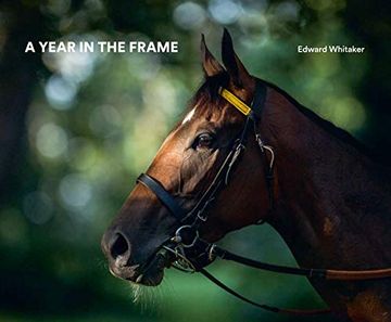 portada A Year in the Frame (in English)