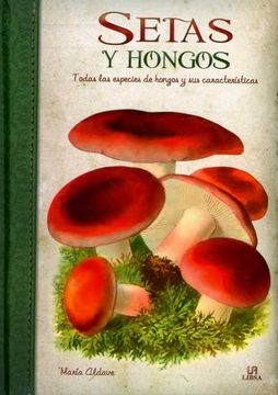 portada Setas y Hongos: Todas las Especies de Hongos y sus Características (in Spanish)