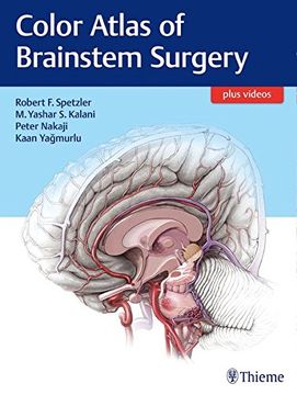 portada Color Atlas of Brainstem Surgery (en Inglés)