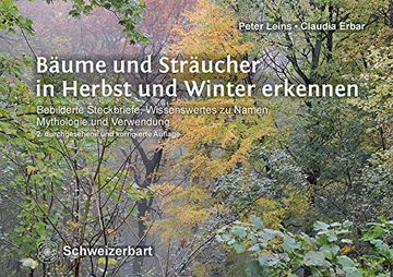 portada Bäume und Sträucher in Herbst und Winter Erkennen: Bebilderte Steckbriefe, Wissenswertes zu Namen, Mythologie und Verwendung (en Alemán)