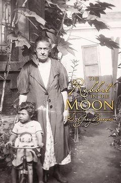 portada the rabbit in the moon (en Inglés)