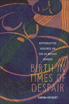 portada Birth in Times of Despair: Reproductive Violence on the Us-Mexico Border (en Inglés)