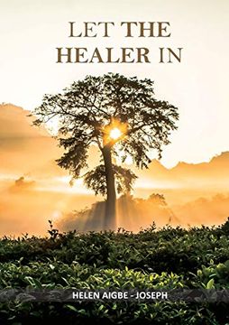 portada Let the Healer in 