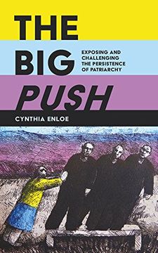 portada The Big Push: Exposing and Challenging the Persistence of Patriarchy