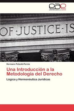 portada una introduccion a la metodologia del derecho (in Spanish)