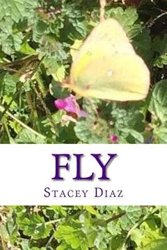 portada Fly (en Inglés)