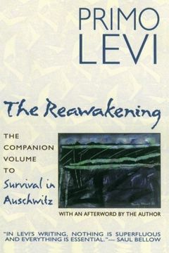the reawakening (en Inglés)
