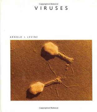 portada Viruses: A Scientific American Library Book (en Inglés)