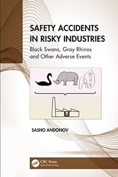 portada Safety Accidents in Risky Industries: Black Swans, Gray Rhinos and Other Adverse Events (en Inglés)