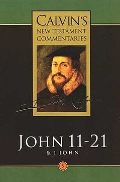 portada gospel according to st john 11-21: and the first epistle of john (en Inglés)