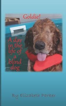 portada Goldie!: A Day in the life of a Blind Dog (in English)