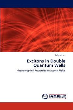 portada excitons in double quantum wells (en Inglés)