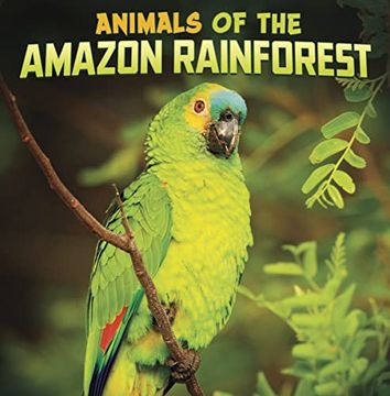 portada Animals of the Amazon Rainforest (Wild Biomes)