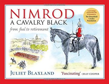 portada Nimrod: A Cavalry Black: From Foal to Retirement