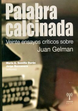 portada Palabra Calcinada. Veinte Ensayos Criticos Sobre Juan Gelman (in Spanish)