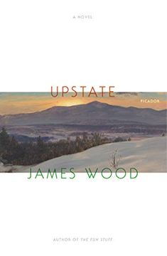 portada Upstate: A Novel (in English)