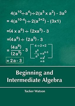 portada Beginning and Intermediate Algebra (in English)