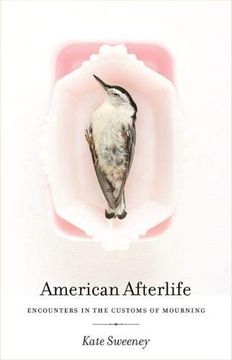 portada American Afterlife: Encounters in the Customs of Mourning (en Inglés)