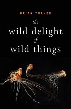 portada The Wild Delight of Wild Things (en Inglés)