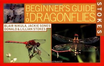 stokes beginner´s guides to dragonflies