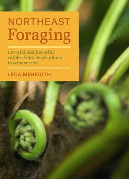 portada Northeast Foraging: 120 Wild and Flavorful Edibles from Beach Plums to Wineberries (Regional Foraging Series) (in English)