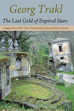 portada the last gold of expired stars (in English)