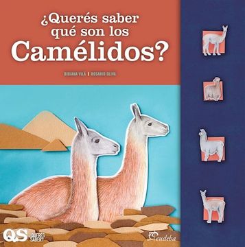 portada Quieres Saber que son los Camelidos? (in Spanish)