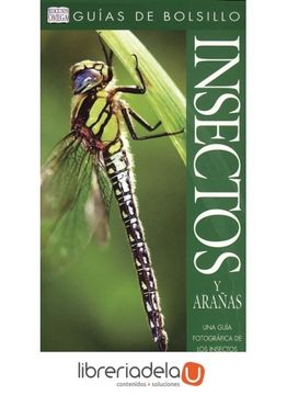 portada Insectos y Arañas. Guía de Bolsillo (Guias del Naturalista-Insectos y Aracnidos) (in Spanish)
