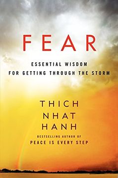 portada fear: essential wisdom for getting through the storm (en Inglés)
