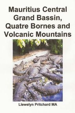 portada Mauritius Central Grand Bassin, Quatre Bornes and Volcanic Mountains: Uma Lembranca Colecao de fotografias coloridas com legendas (en Portugués)