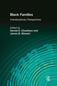 portada Black Families: Interdisciplinary Perspectives (in English)