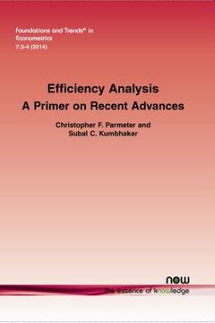 portada Efficiency Analysis: A Primer on Recent Advances (en Inglés)