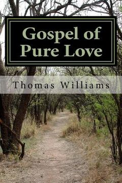 portada Gospel of Pure Love: Based on the Gospel of John, the Disciple, Adapted and Expanded into a Gospel of the Way (in English)