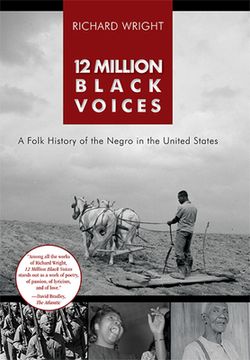 portada 12 Million Black Voices (en Inglés)