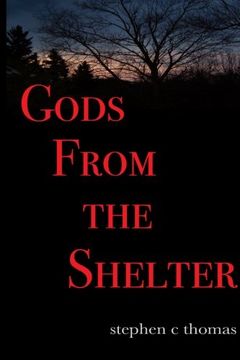 portada Gods From The Shelter