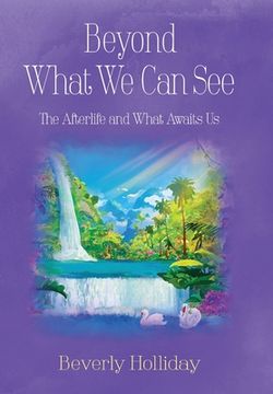 portada Beyond What We Can See: The Afterlife and What Awaits Us (en Inglés)