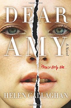 portada Dear Amy: A Novel